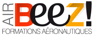 logo airbeez